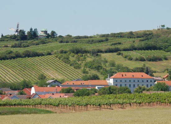 Degustace úžasných rakouských vín v kavárně Styl&Interier