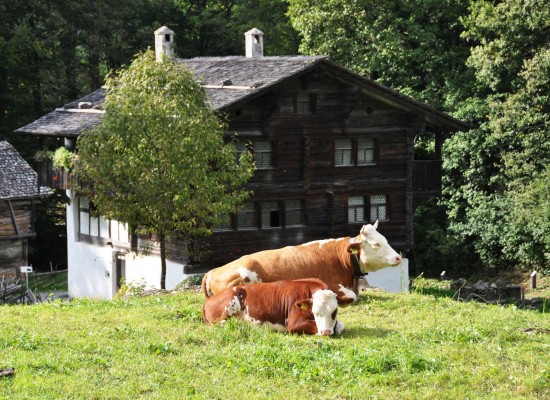 Malebná švýcarská chata 