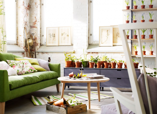 Obývací pokoj s květinami