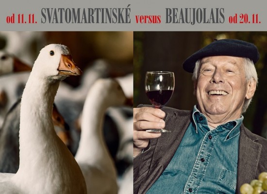 Svatomartinské versus Beaujolais
