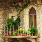 Ozdobte květinami váš balkon