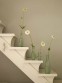 Bílé schodiště s květinami