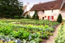 Zeleninová zahrada jako z anglického venkova