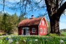 Červený domek ve skandinávském stylu